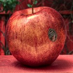 cameo-apple
