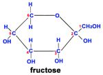 fructose_chain