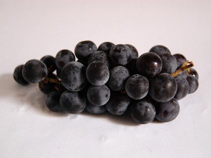 Concord Grapes