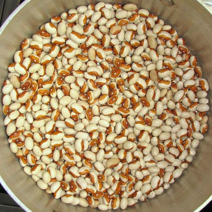DriedHeirloom Beans