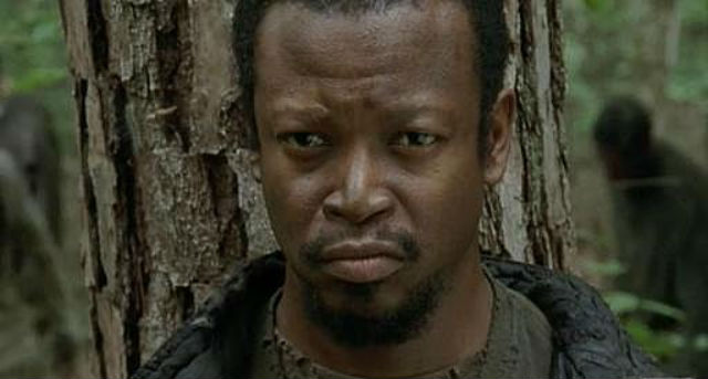 Bob Stookey flashback rev rev