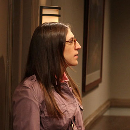 425px x 424px - The Big Bang Theory â€“ Sheldon likes Amy! | CliqueClack TV