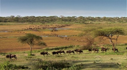 Teams travel through Africa's Garden of Eden on "The Amazing Race"